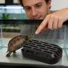 Turtle Waste Catcher with Suction Cup and Quick Release view 3