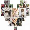 Rhinestone Dog Collar, Cute Crystal Diamond Cat Collar, Soft PU Collar for Kittens and Puppies, Adjustable (Brown, L) view 3