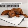 TrendPet Pearl Waterproof Dog Blanket, Cozy Sofa and Bed Blanket (170 x 110 cm) view 3
