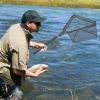 Foldable Aquarium Fish Net with Telescopic Handle view 3