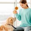2-in-1 Pet Massage Comb for Shedding Hair Removal view 3