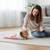 Generic Pet Sleeping Bag - Semi-Enclosed Washable Kitten Sack view 2