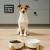Pet Feeding Reminder view 3