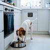 Generic Dog Feeding Magnet, Magnetic 2-Meal Feeding Chart for Cats and Dogs view 2