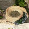Reptile Feeding Bowl for Terrariums view 2