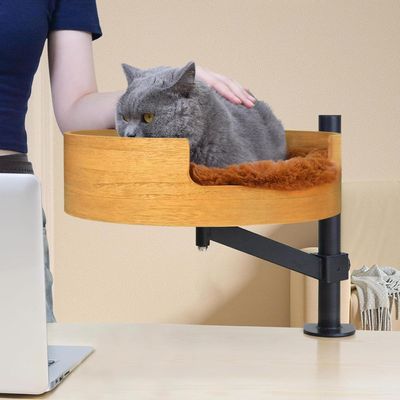 Cat Desk Bed with Pet Mat