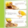 Bird Chew Toy - Wooden Ship view 4