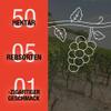 Weingut Freiherr von Gleichenstein 2019 Pinot & Chardonnay Extra Brut Traditional-Method Sparkling Wine (1 x 0.75 L) view 2
