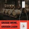 Weingut Freiherr von Gleichenstein 2019 Pinot & Chardonnay Extra Brut Traditional-Method Sparkling Wine (1 x 0.75 L) view 3