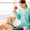 2-in-1 Dog Grooming Brush, Massage and Cleaning Comb view 3