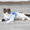 Abaodam Lightweight Cooling Vest for Dogs in Blue view 2