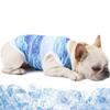 Abaodam Lightweight Cooling Vest for Dogs in Blue view 4