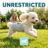Reusable Dog Diapers for Female Dogs view 2