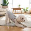 Reusable Dog Diapers for Female Dogs view 3