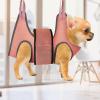 Dog Harness for Nail Trimming, Grooming Hammock view 3