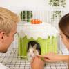 Uonguon Small Animal Beds, Hangable Sugar Glider Nest in Cake Shape view 3