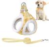 Dog Training Leash - Gentle Control Accessory for Puppies view 1