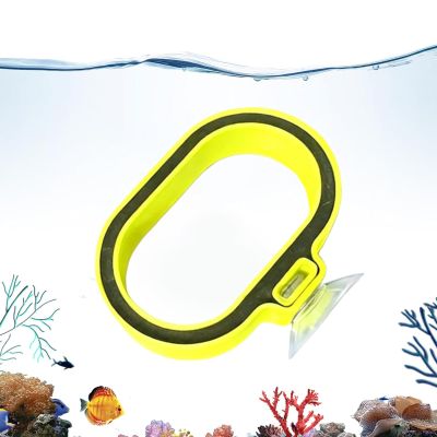 Fish Feeder - Suction Cup Attachment, Floating Feeder