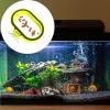 Fish Feeder - Suction Cup Attachment, Floating Feeder view 2