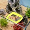 Xowwyue Automatic Fish Feeder for Aquariums view 2