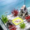 Xowwyue Automatic Fish Feeder for Aquariums view 3