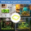 Xowwyue Automatic Fish Feeder for Aquariums view 4