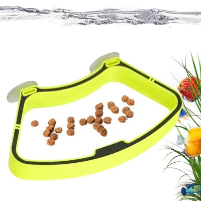 Fish Feeder with Suction Cup Holder
