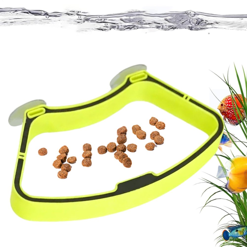 Fish Feeder with Suction Cup Holder