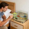 Fish Feeder with Suction Cup Holder view 2