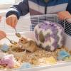 Plush Winter Hamster Hideout, Small-Animal Sleeping Bed view 3