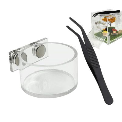 Jumping Spider Feeding Bowl, Magnetic Water Dish for Terrariums