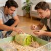 Plush Small-Animal Bed and Nest for Hamsters, Ferrets, Gerbils, Hedgehogs, Chinchillas, Rabbits, and Guinea Pigs view 2