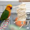 CFTGIW Hanging Bird Chew Toy view 1