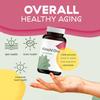 Kimchi One, Premium Kimchi Powder Superfood for Gut Health and General Well-Being view 2