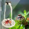 Cotton Spider Bridge - Handmade Rope Swing view 3