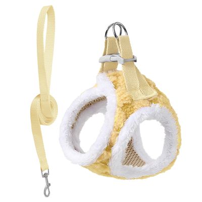 Pet Leash for Gentle Control