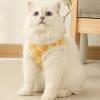 Pet Leash for Gentle Control view 2