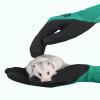 Ofggd 2 Pack Bird Training Gloves view 3
