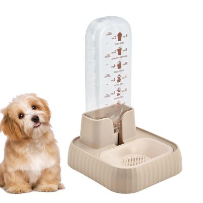 Generic Automatic Cat Food and Water Dispenser