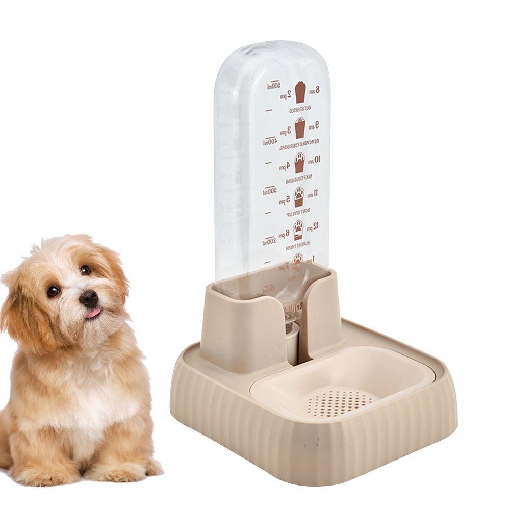 Generic Automatic Cat Food and Water Dispenser
