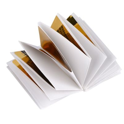 AlpenLife Basics 50-Piece Gold Nail Extension Guide Stickers