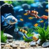 Rwigeboo 2-Piece Floating Aquarium Decorations view 4