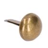 Restokki Bronze Mushroom-Shaped Metal Nail Studs, Galvanized view 4
