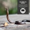 JOINPAYA Stainless Steel Reptile and Snake Sexing Probe Kit view 3