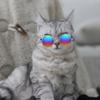 Pet Sunglasses, Classic Retro Round Metal Dog Sunglasses, Multicolor view 2