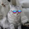 Pet Sunglasses, Classic Retro Round Metal Dog Sunglasses, Multicolor view 4