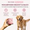 Belly Bless Digestive Dog Treats with Prebiotics, Psyllium Husk & Herbs, Hypoallergenic, 325 g (90 pieces) view 2