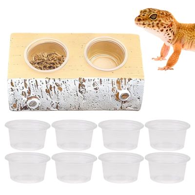Generic Gecko Feeding Ledge, Magnetic Food Bowl with 10 Compartments