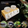 Generic Gecko Feeding Ledge, Magnetic Food Bowl with 10 Compartments view 4