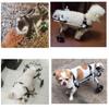 Adjustable Dog Wheelchair for 1–60 kg Dogs view 2